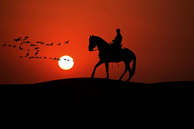 equestrian-sunset