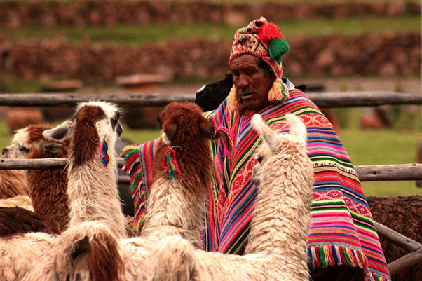 inca trail facts