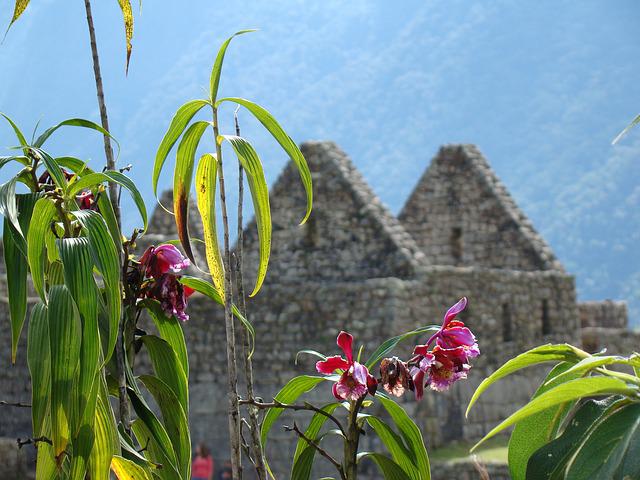 top machu picchu tours