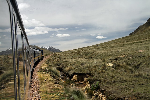 train-peru